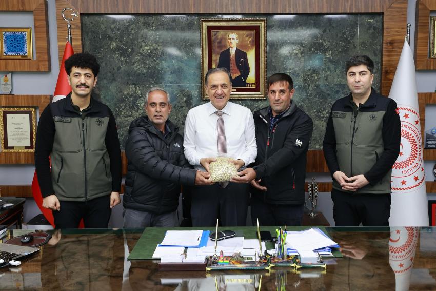 Bingöl'de Menengiç Kazanç Kapısı Olacak