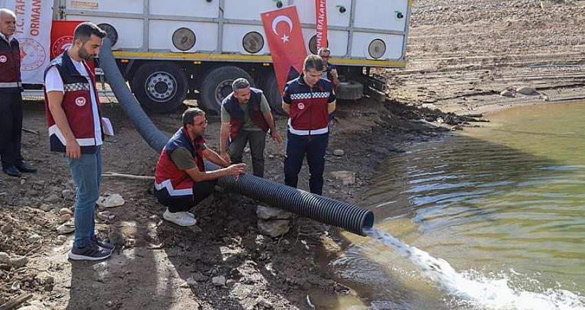 Barajlara 1 Milyon 470 Bin Balık Bırakıldı