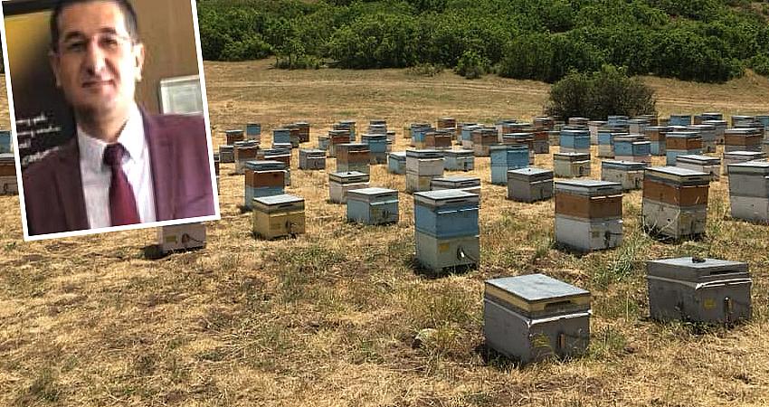 BİNGÖL’DE ORGANİK BAL ÜRETİMİ YÜZDE 78 SEVİYESİNDE