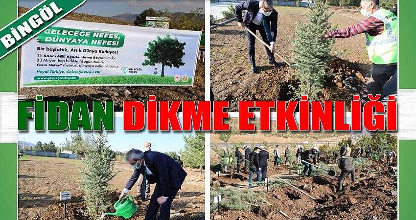 FİDANLAR TOPRAKLA BULUŞTU