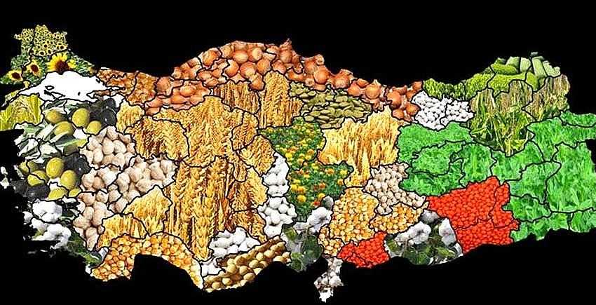 BİNGÖL’DE DESTEKLENECEK ÜRÜNLER AÇIKLANDI