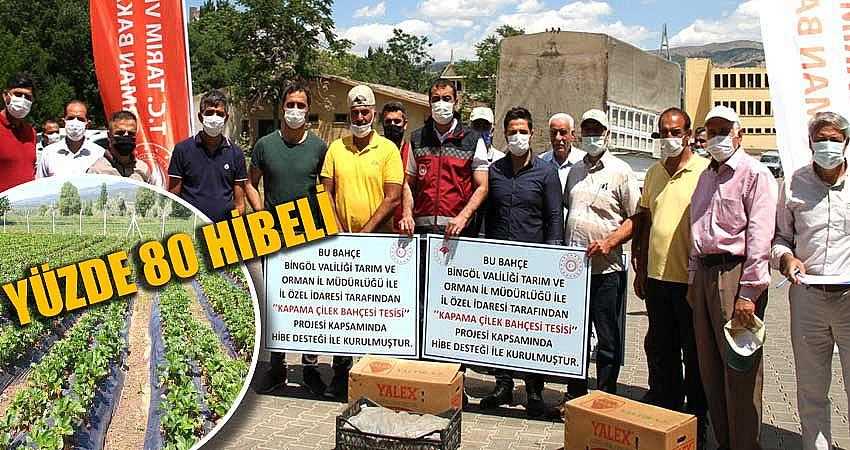 ÇİFTÇİLERE ÇİLEK FİDESİ DAĞITILDI