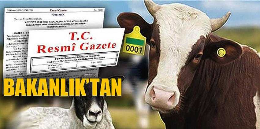 Hayvan sevklerine düzenleme