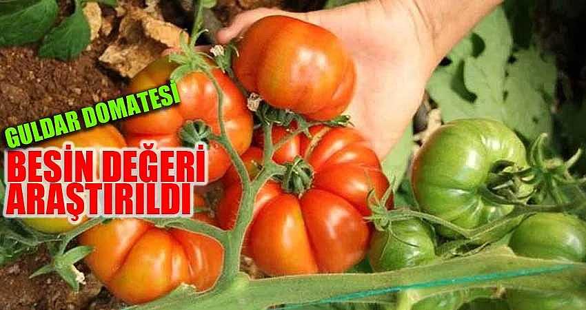 GULDAR DOMATESİ’NİN BESİN DEĞERİ ARAŞTIRILDI