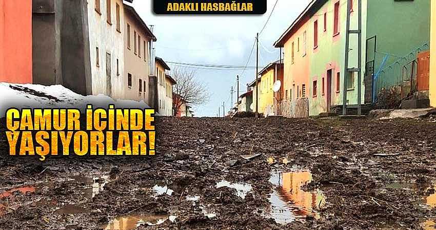 ÇAMUR İÇİNDE YAŞIYORLAR!