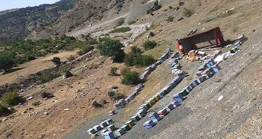 ARI YÜKLÜ KAMYON DEVRİLDİ