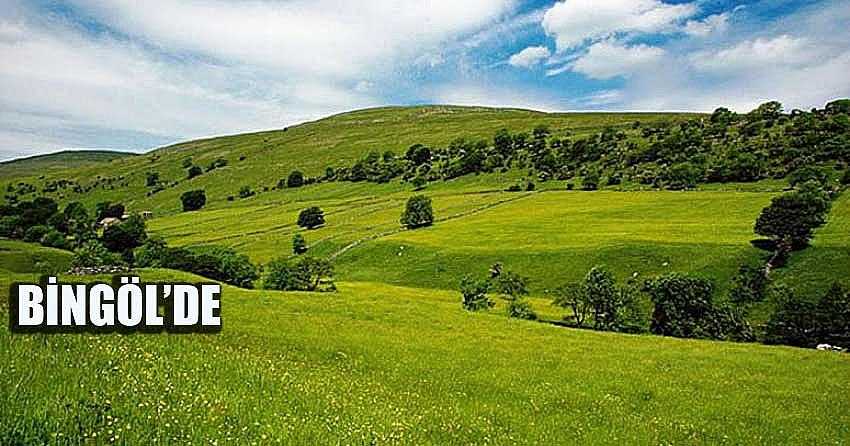 KİRAYA VERİLECEK MERALARIN SAYISI ARTTIRILDI