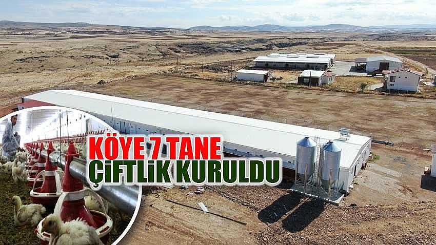 KÖYE 7 TANE ÇİFTLİK KURULDU