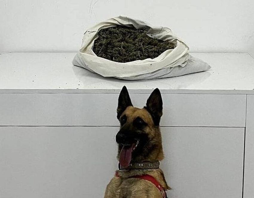 Uyuşturucu Operasyonu: 1 Tutuklama