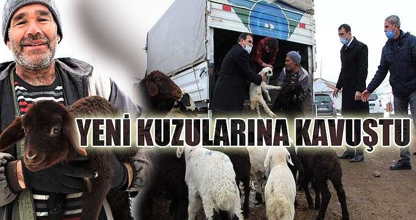 YENİ KUZULARINA KAVUŞTU