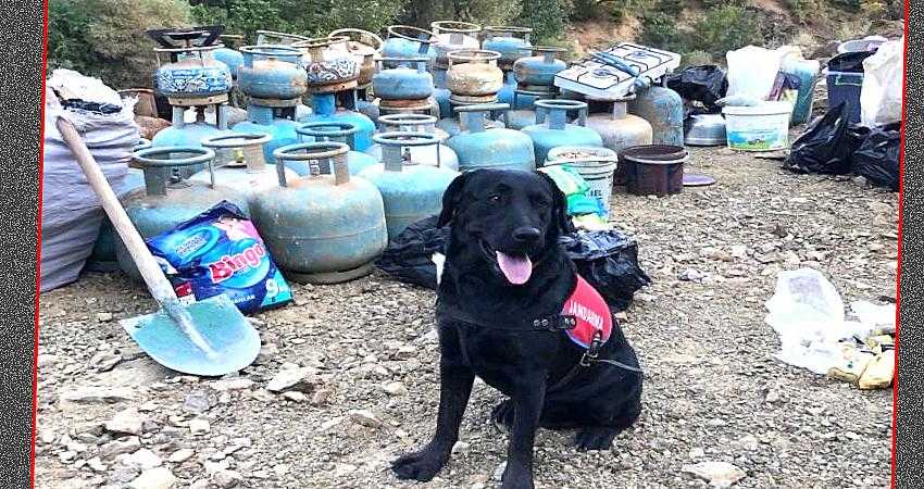 Terör örgütünün malzemesi ele geçirildi