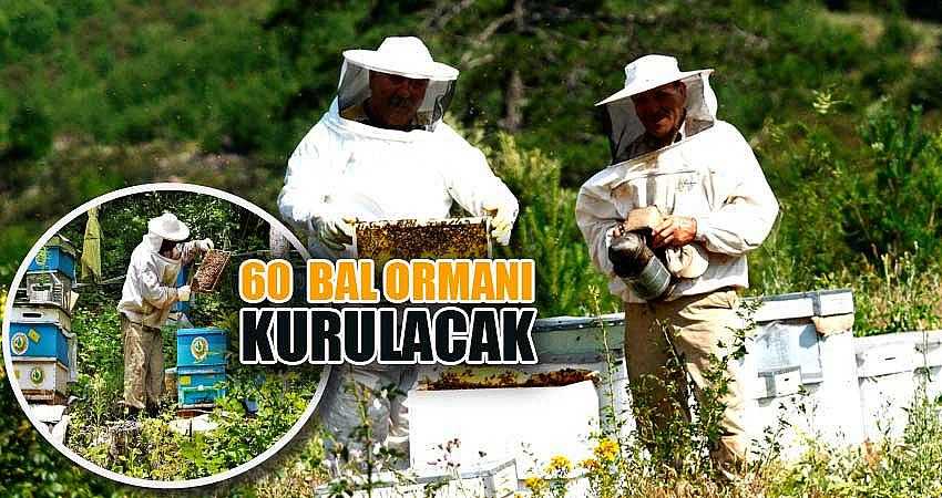 60 ADET BAL ORMANI KURULACAK