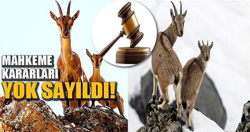 MAHKEME KARARLARI YOK SAYILDI!