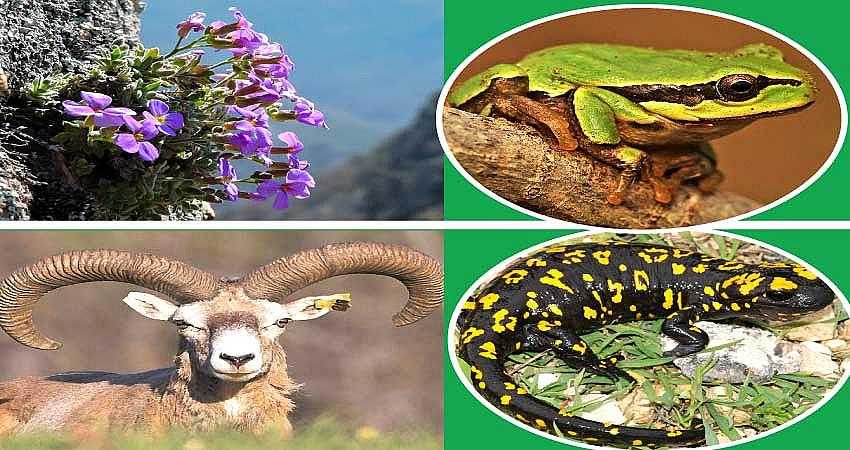 81 İLDE ÇALIŞMALAR TAMAMLANDI