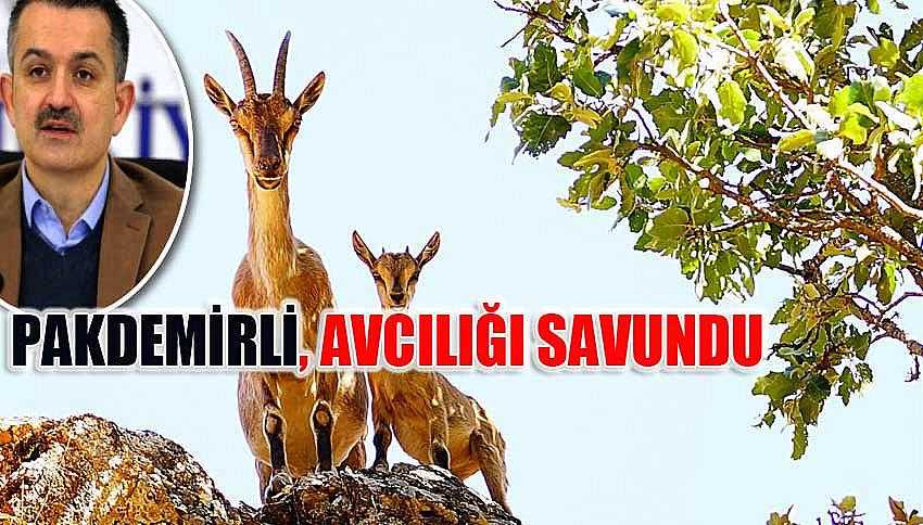 PAKDEMİRLİ, AVCILIĞI SAVUNDU